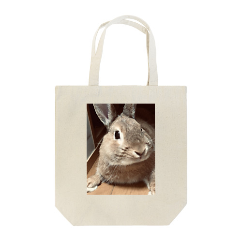 うさぎのはんちゃん. Tote Bag