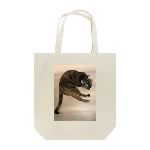 サビ猫タビ Tote Bag