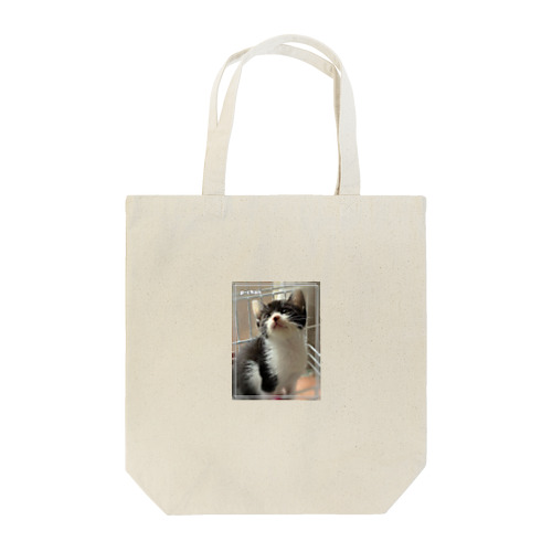 保護猫Pちゃん【ロゴなし】 Tote Bag