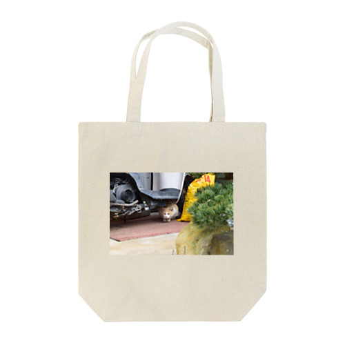 人見知り猫 Tote Bag