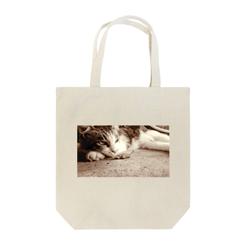 枯れ葉と猫 Tote Bag