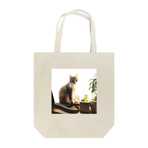 窓際のマロ Tote Bag