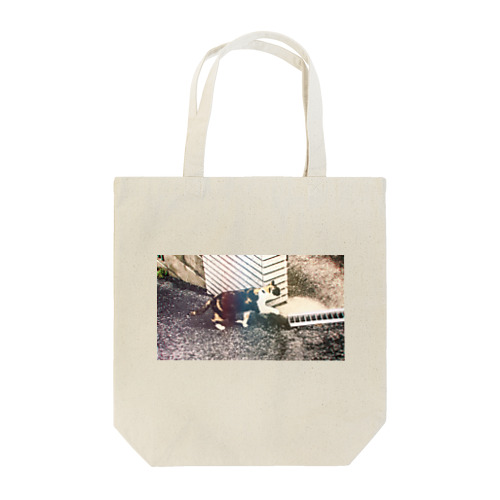 みしらぬ三毛猫 Tote Bag