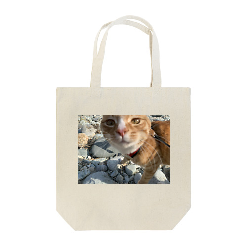 茶トラねこ 外で散歩 トートバッグ Tote Bag