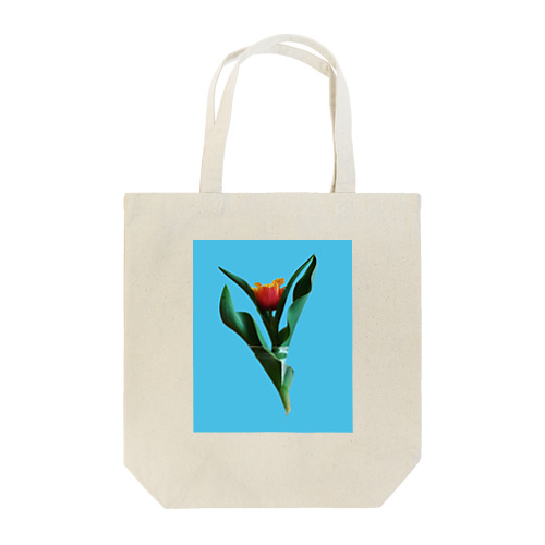 Tulipa cv. lambada Tote Bag