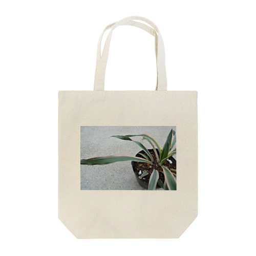 yucca Tote Bag