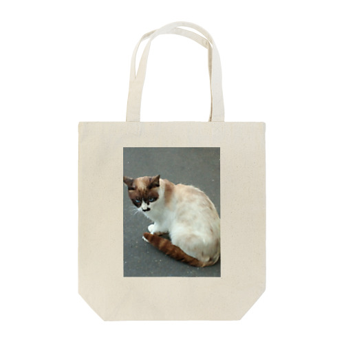 201408161744000　焦げ目の猫 Tote Bag