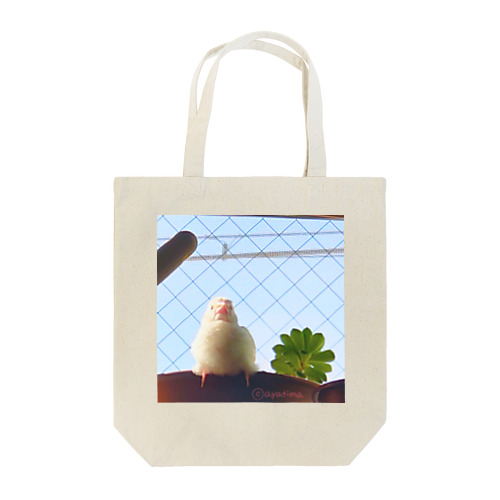 白文鳥のチマフミ Tote Bag
