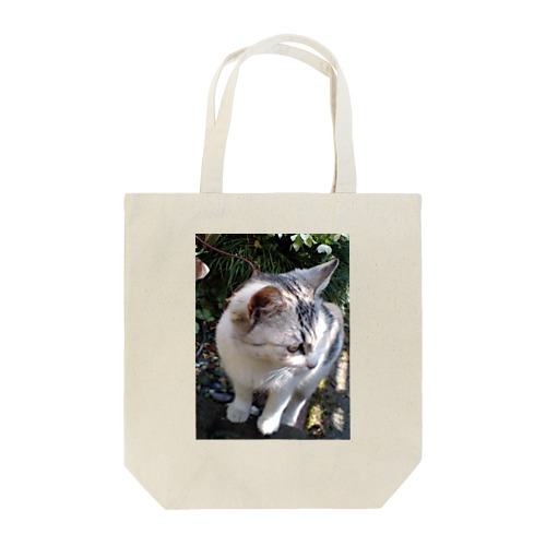 何見てるの？ Tote Bag