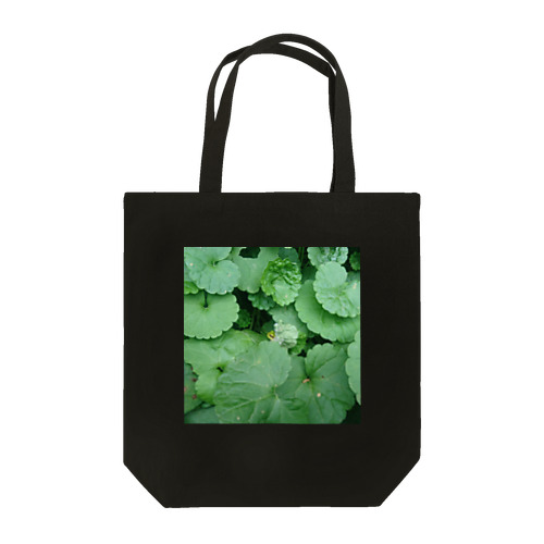 ニホンアマガエル A Tote Bag