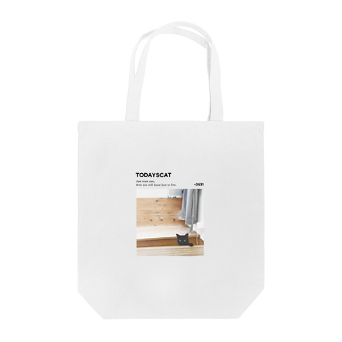 TODAYSCAT 0531 Tote Bag