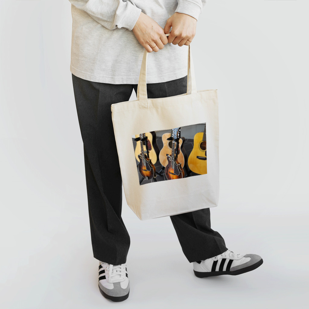 ウエイド・インスツルメンツのGuitar & Mandolin Tote Bag