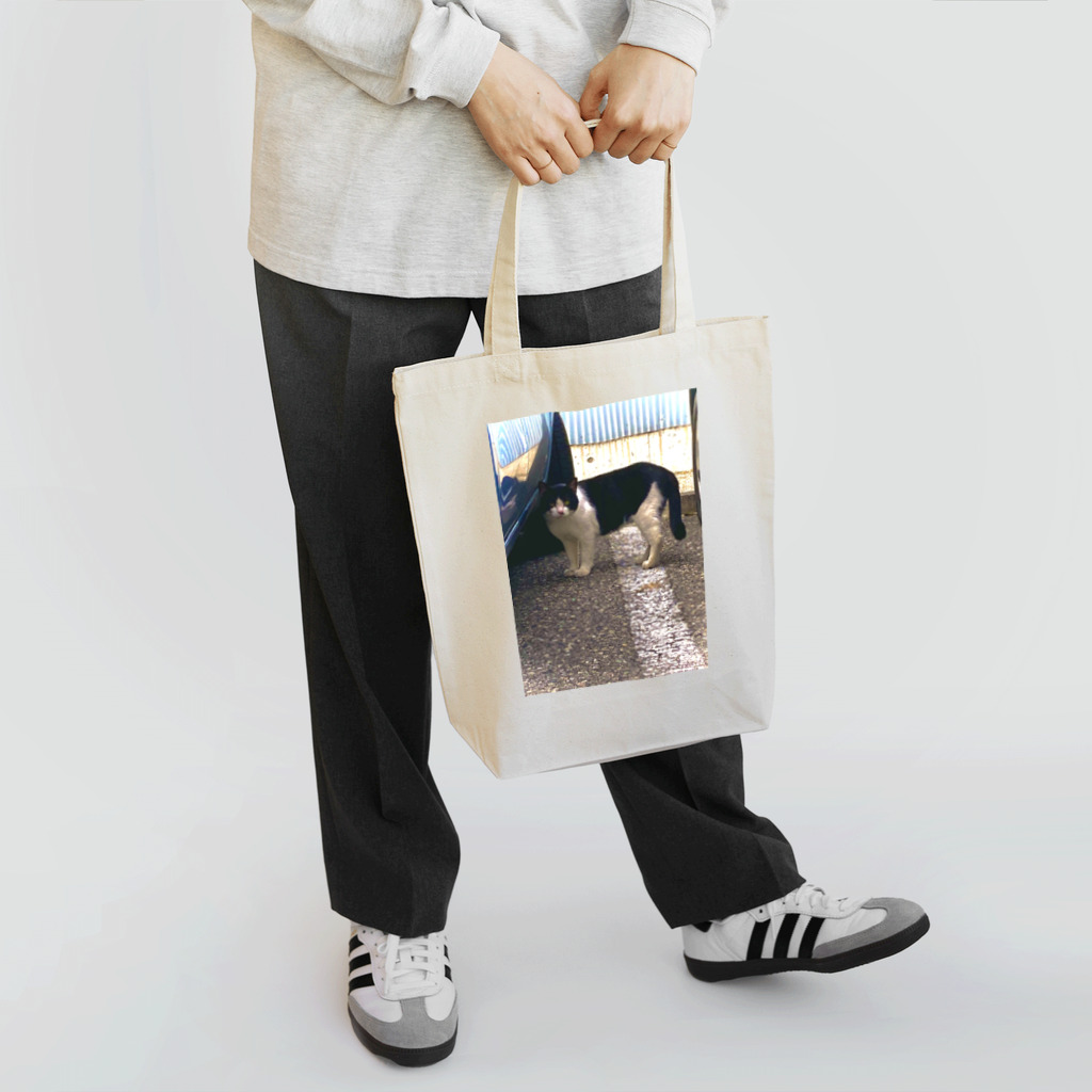 Socialのstray cat Tote Bag