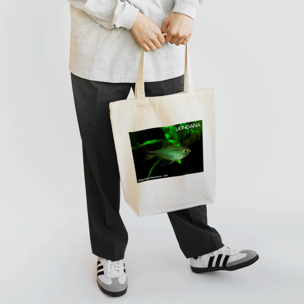 魚飼ゆかい＠ほぼお休み中のHemigrammus filamentosus / male Tote Bag