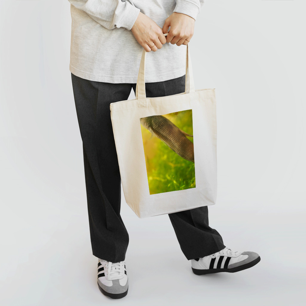 ククラスのワイルドベタ1 Tote Bag