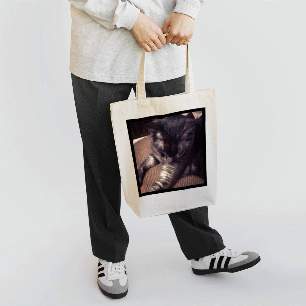 pototaroのうのり Tote Bag