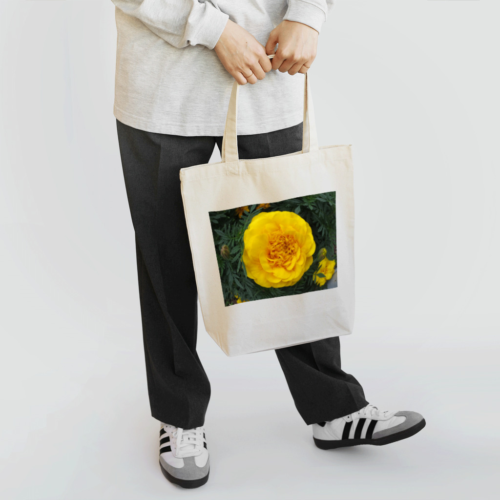 Dreamscape(LUNA)の光よ!!　何処へ行くのか？ Tote Bag