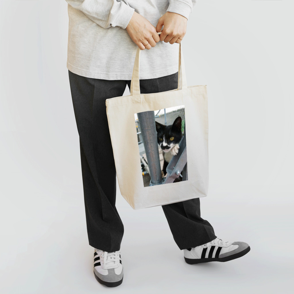 シッポ追いの猫写真店の張り込み トートバッグ