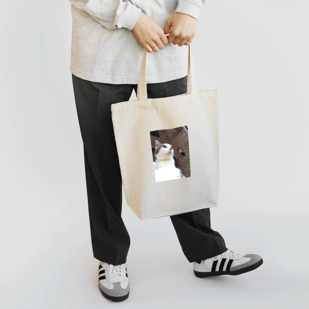 daidouのいつもふてぶてしいうちの愛猫 Tote Bag