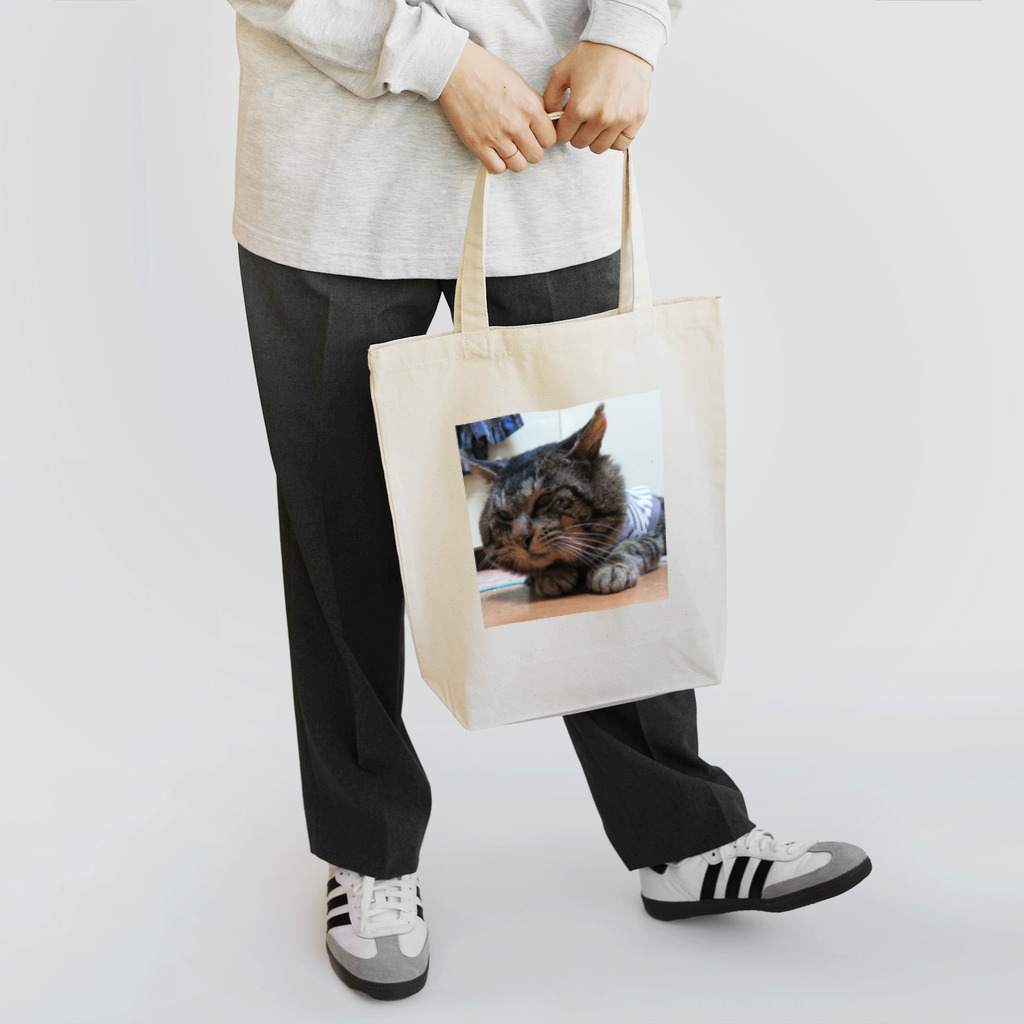 どんぐり屋別館のトラさんシリーズ(Big head) Tote Bag