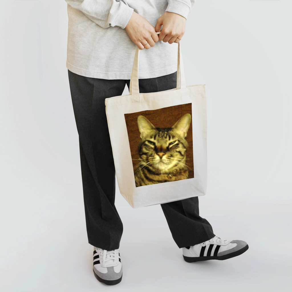 幸せを運ぶ福猫ピー助の幸運のトラ猫 トートバッグ