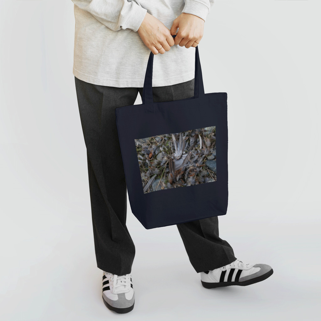 Aiko Nakanoのメメント・モリ_死を想え_鳥_20161128_1660 Tote Bag