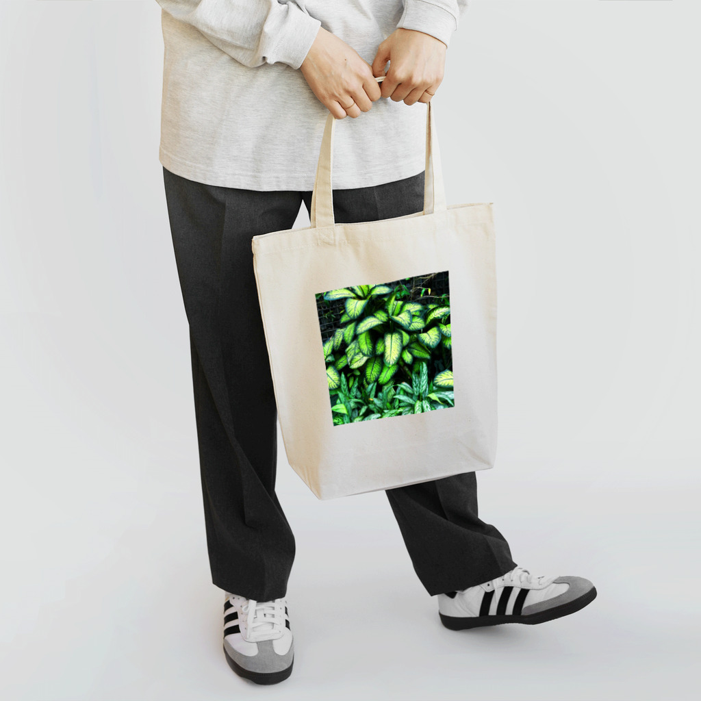 kikuyan8540の癒しの観葉植物 Tote Bag