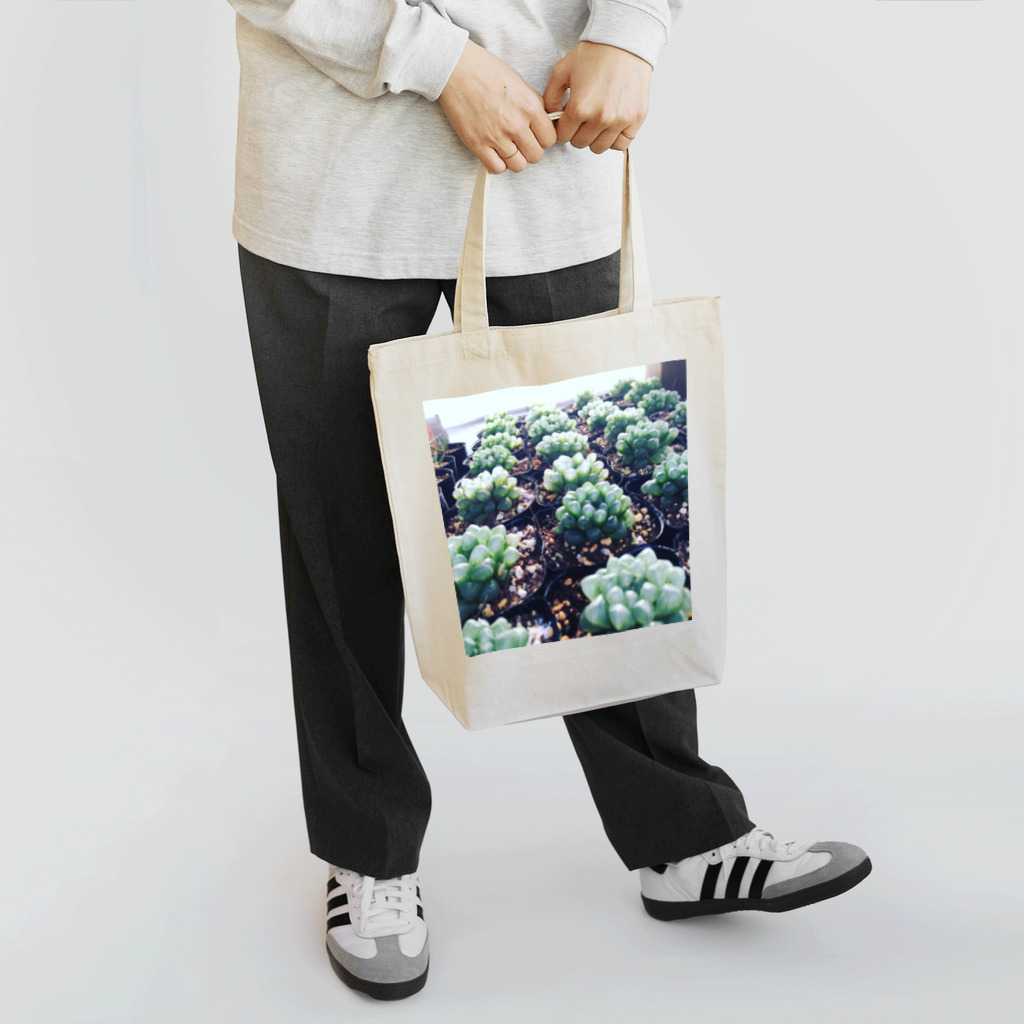 PalmHealingのオブツーサ Tote Bag