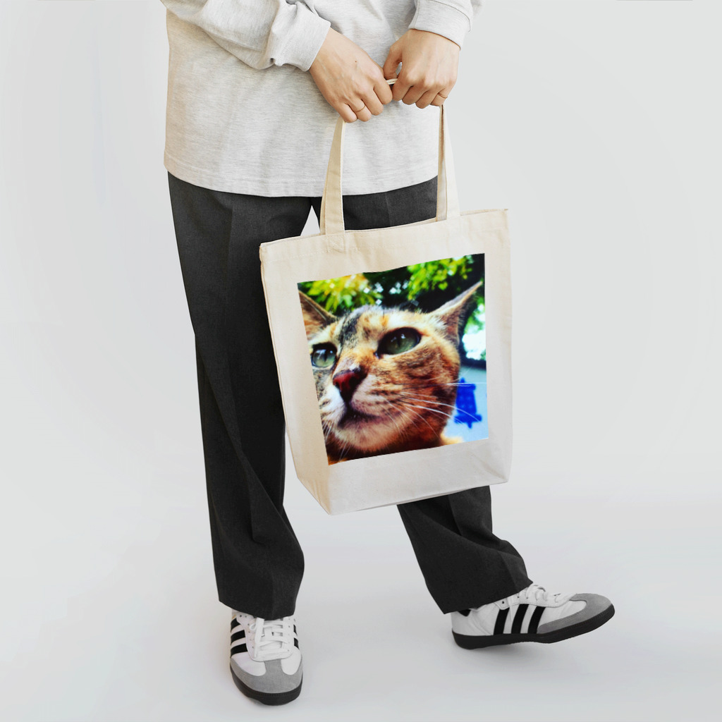 電気羊研究所science&GAMEの公園猫　 Tote Bag