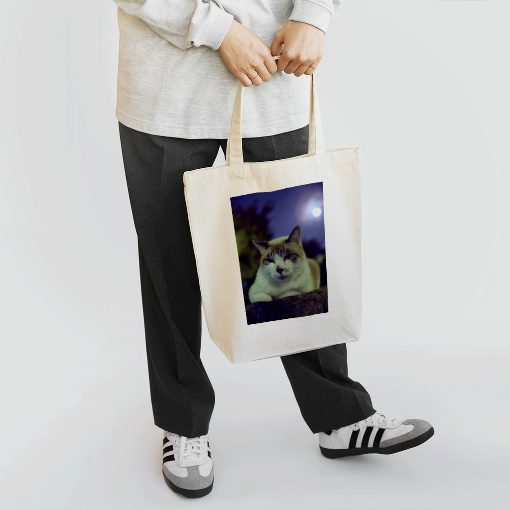 シッポ追いの猫写真店のたゆたう月の夜 Tote Bag