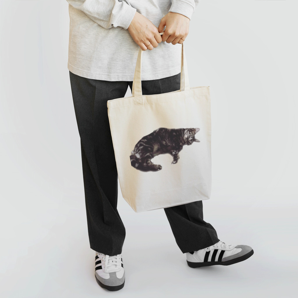 アメショーのひめちゃんのアメショーのひめちゃん④ Tote Bag