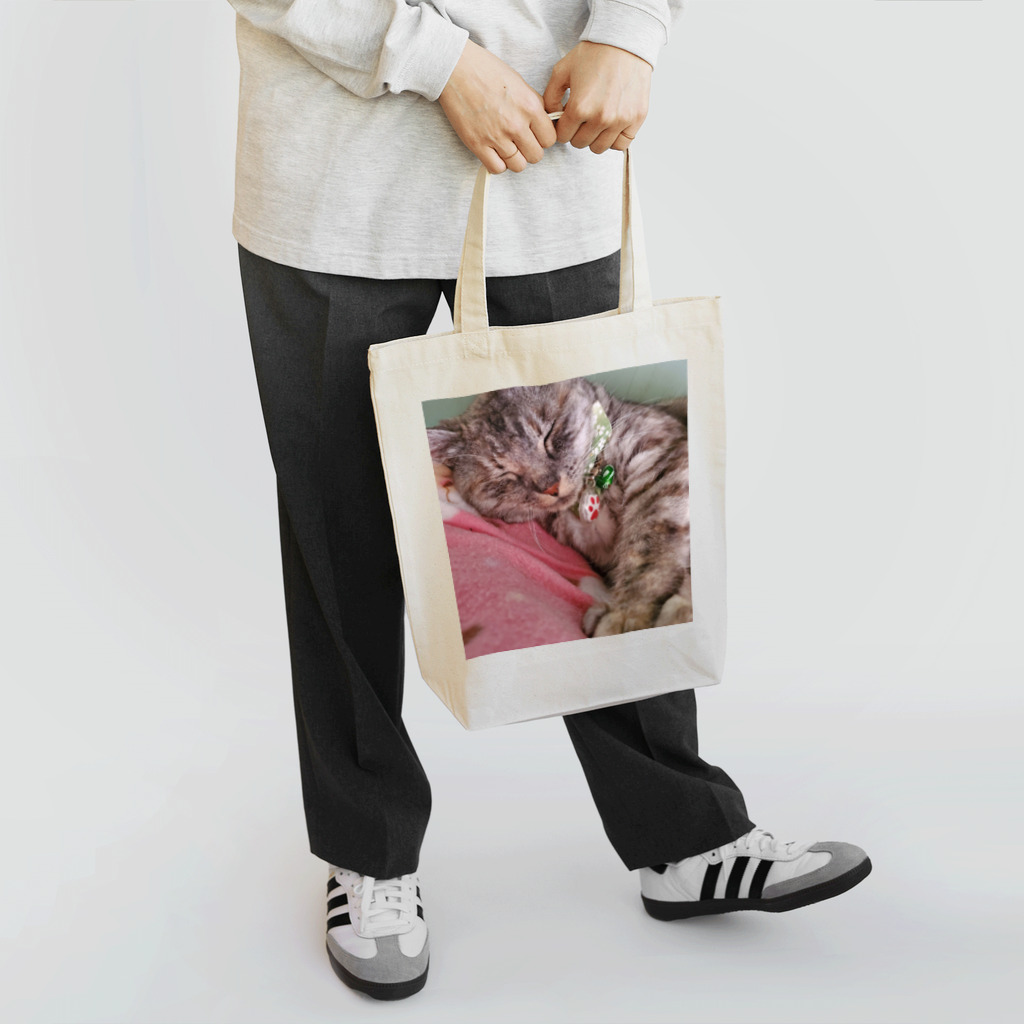 りーしゃん☆のデールグッツ Tote Bag