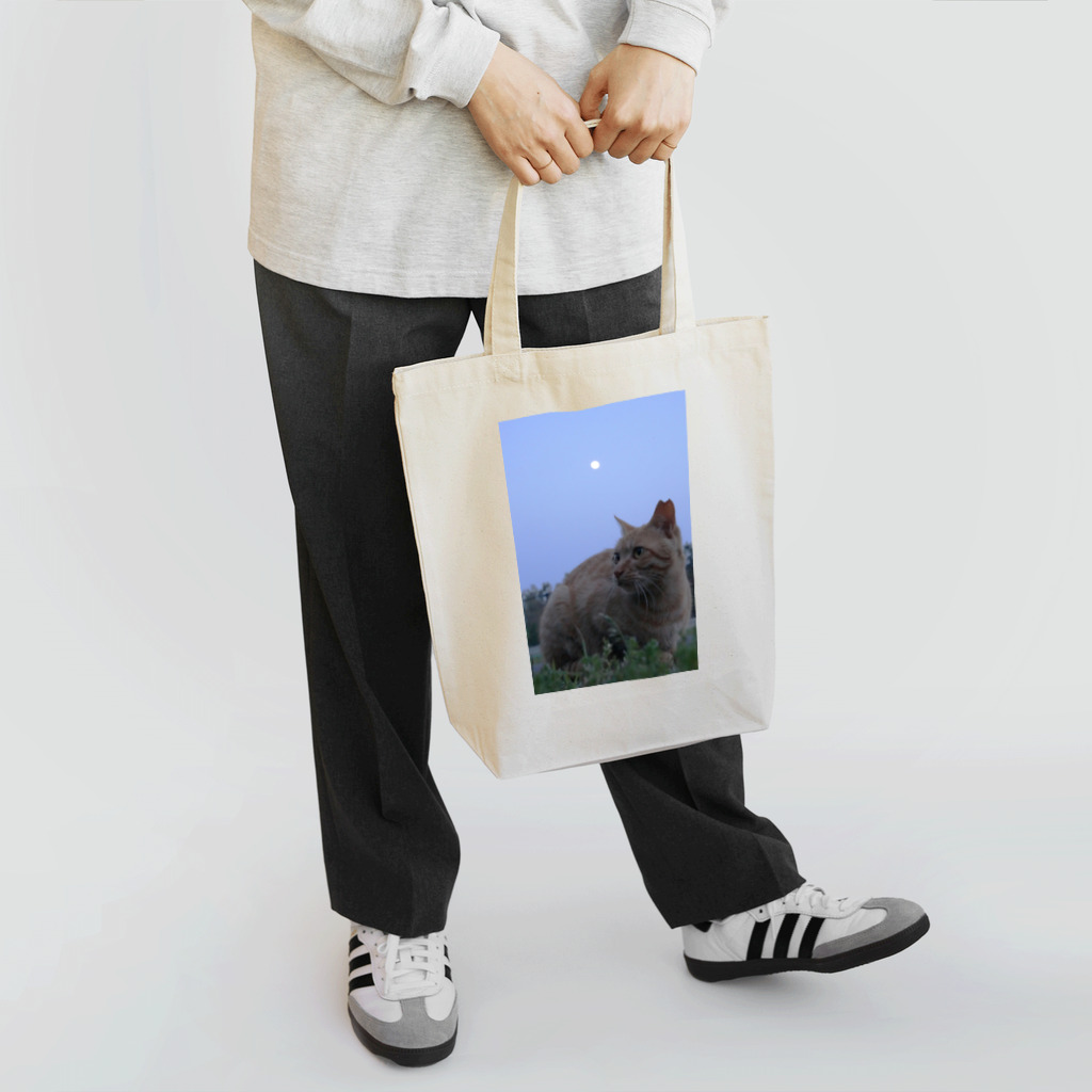 シッポ追いの猫写真店のつきのよるに Tote Bag