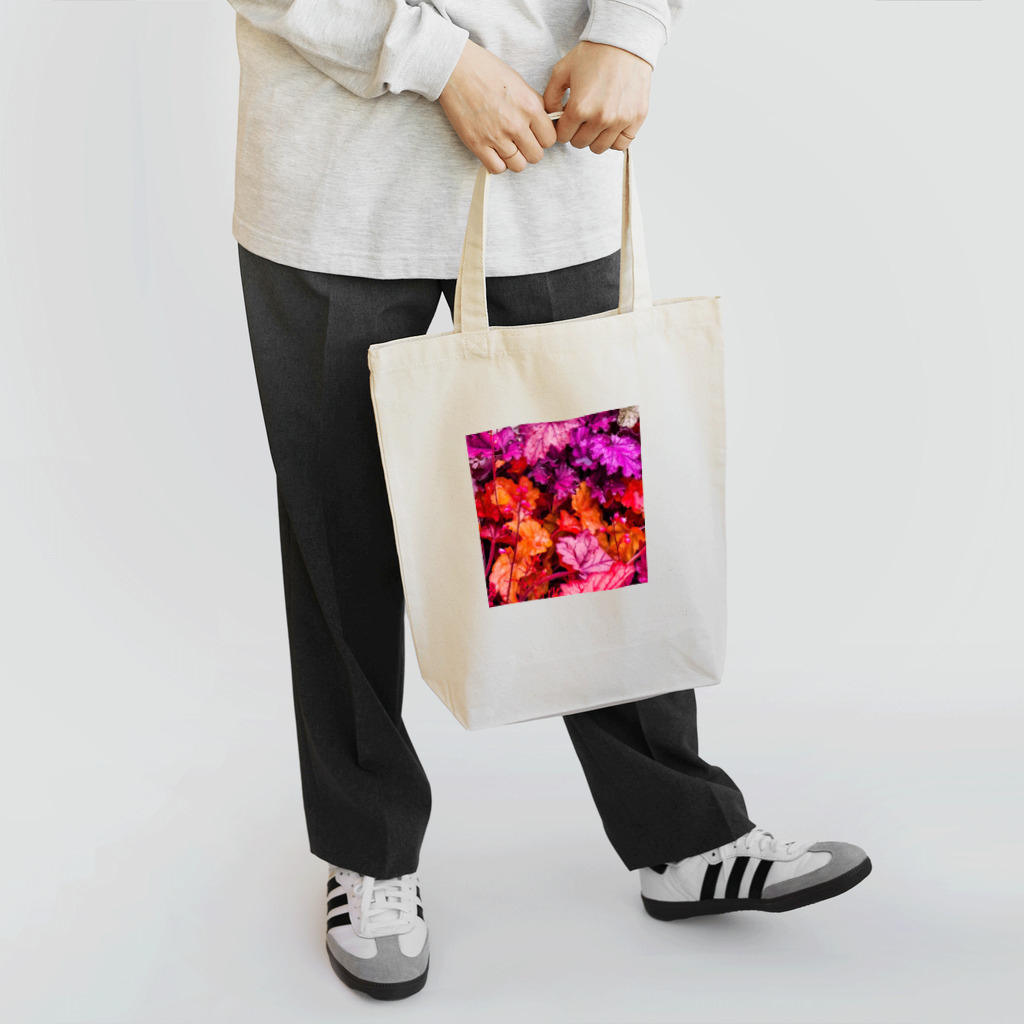 D井の 極彩      Tote Bag