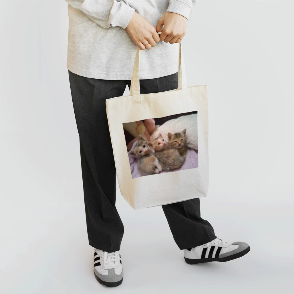 なぅ(ฅ¯ω¯ฅ )🐱🐱🐶🐾のねこねここねこ Tote Bag