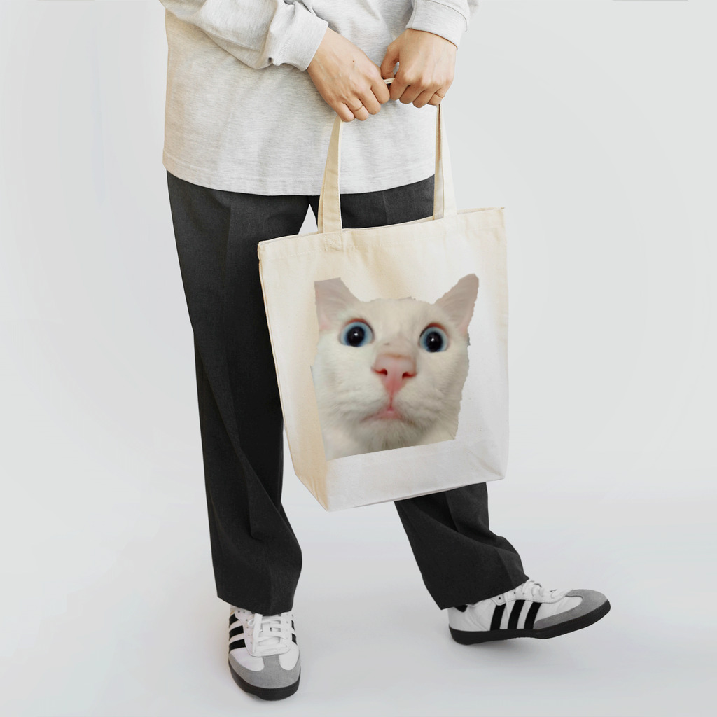 猫の隠れ家の驚きを隠せない。 Tote Bag