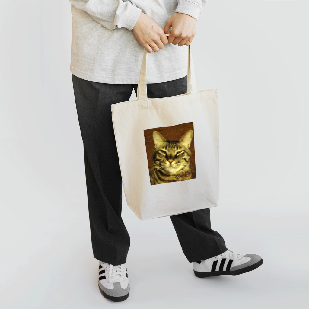 幸せを運ぶ福猫ピー助の幸せを運ぶトラ猫 トートバッグ