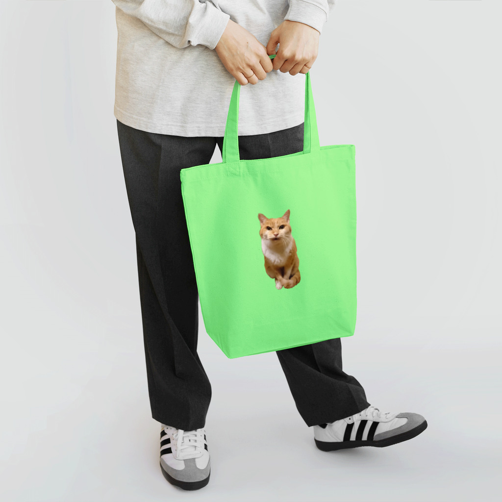 猫沢太陽の眼光鋭い茶シロ猫 Tote Bag