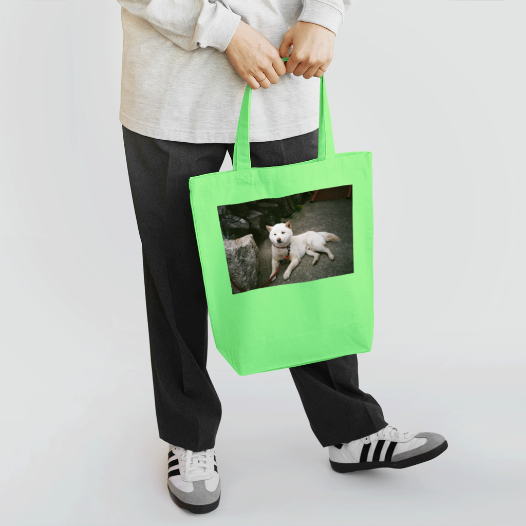 qqq shopのteshima no inu Tote Bag