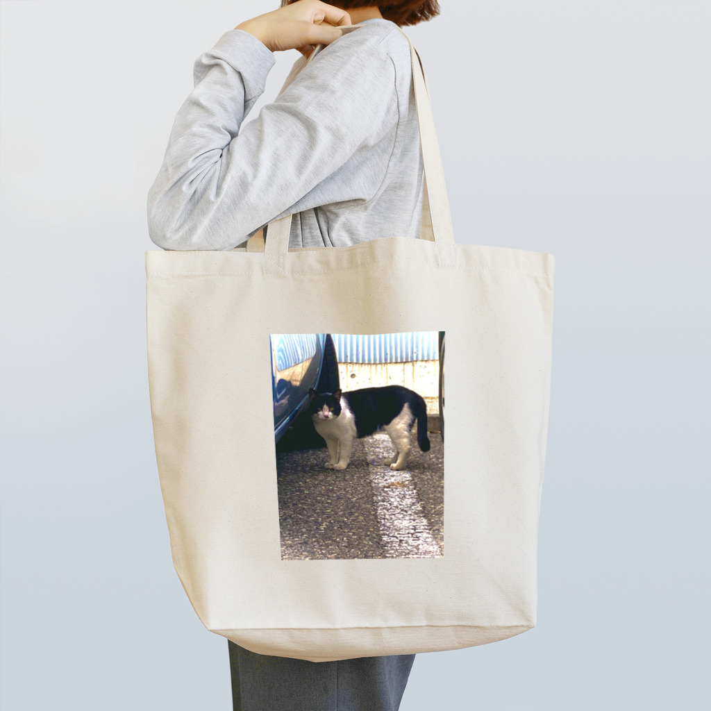 Socialのstray cat Tote Bag