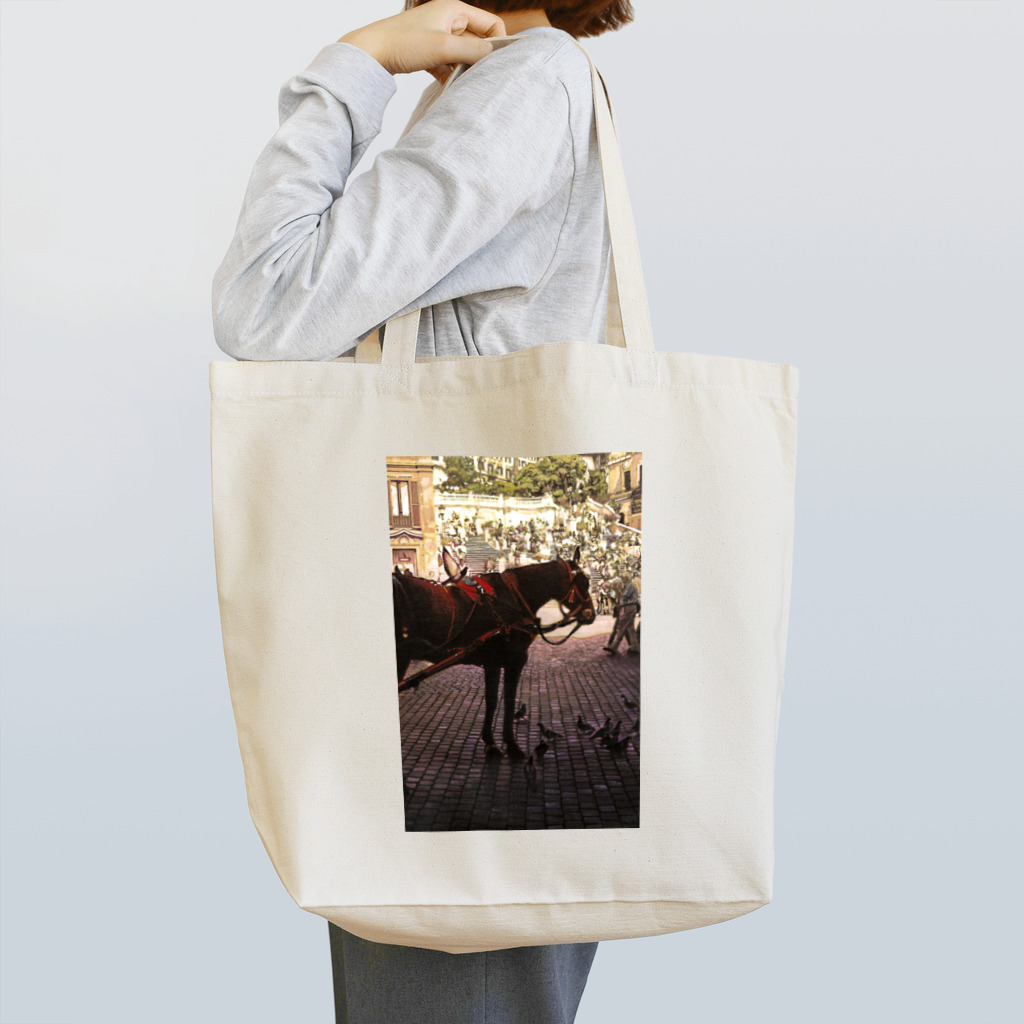 ravenalaの一秒のペガサス(縦長) Tote Bag