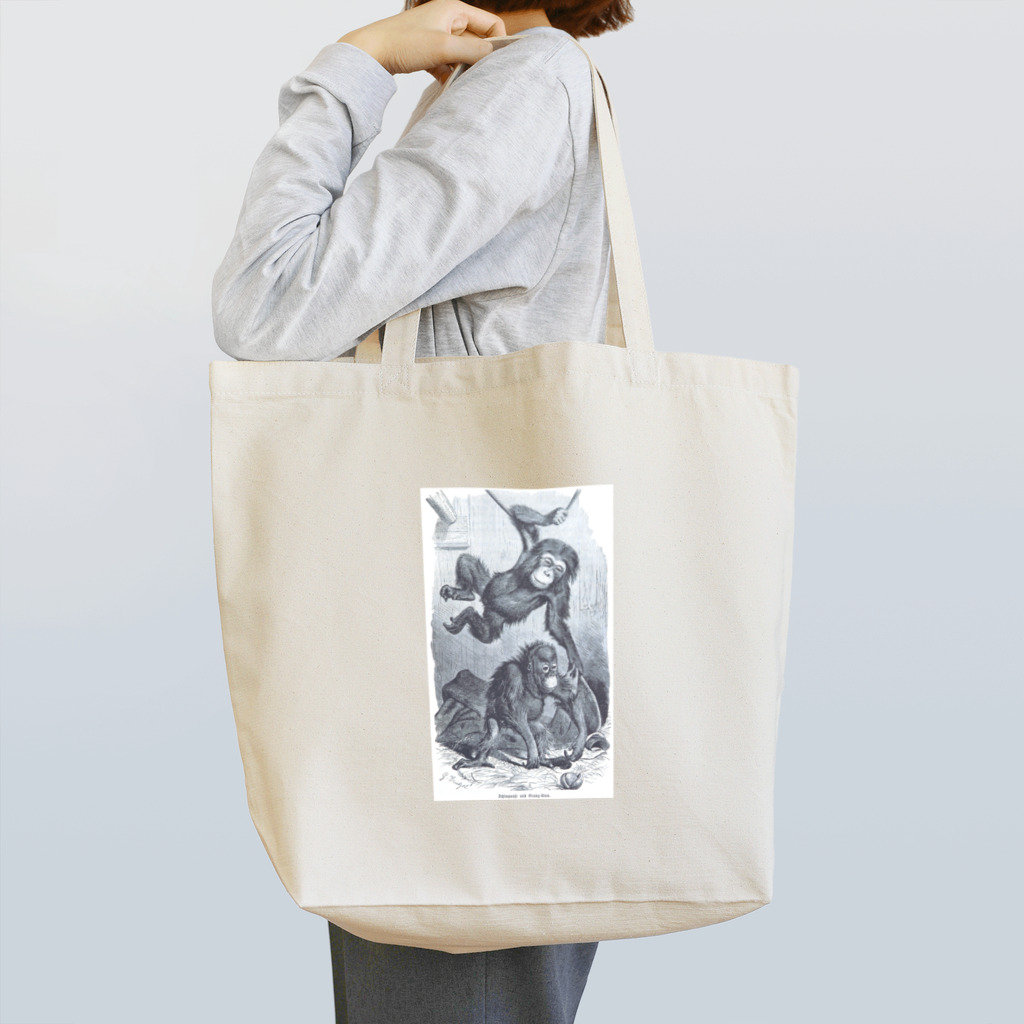 博物雑貨 金烏のThe British Library - Chimpanzee and orangutan Tote Bag