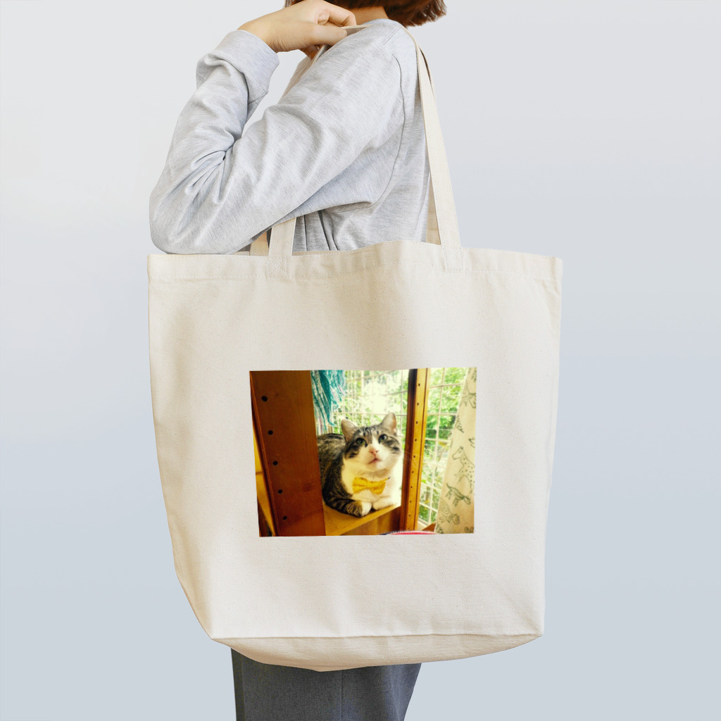 ひょうたん翠の窓辺のマァ坊 Tote Bag