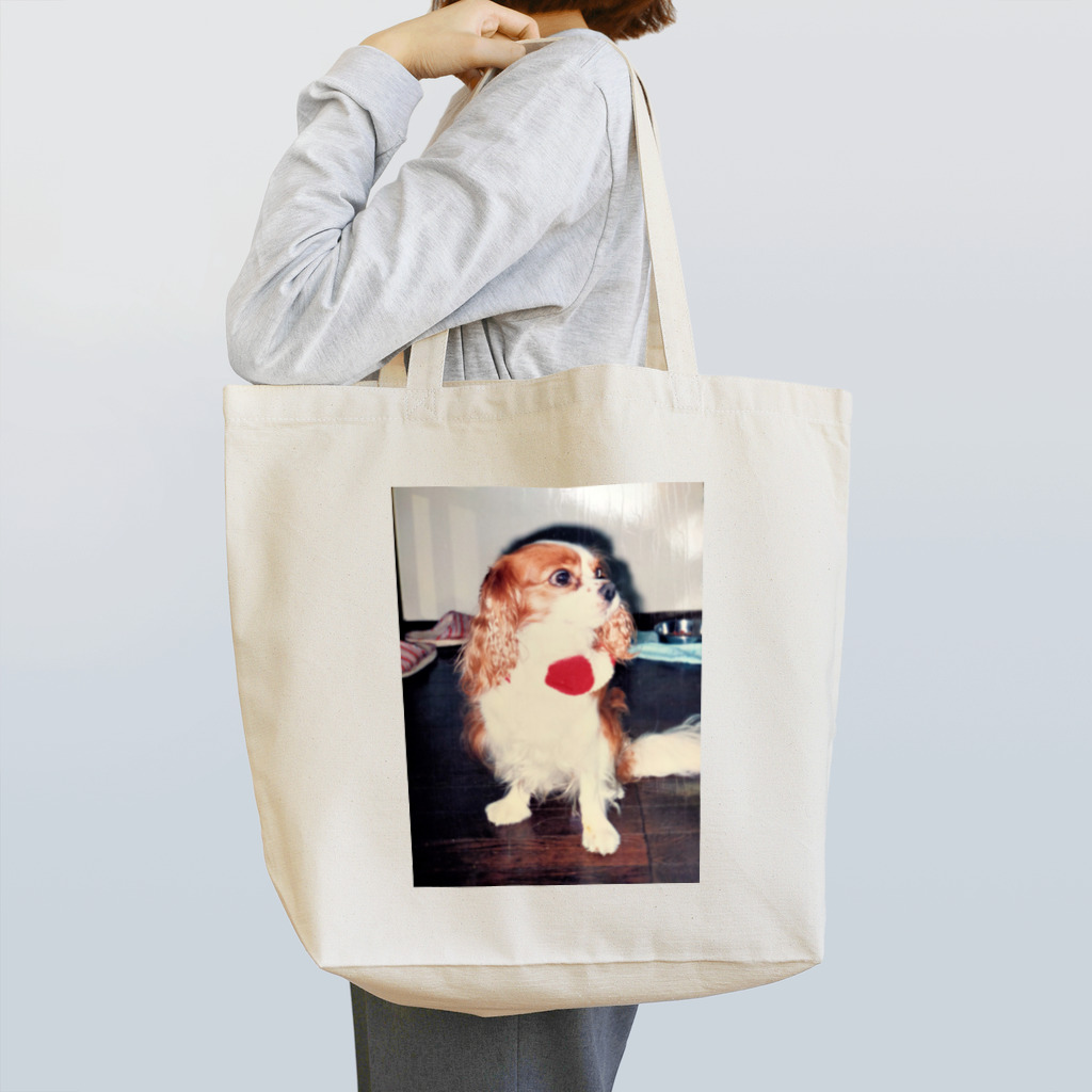 イギリスチョコスキーのキャバリアキングチャールズスパニエル(retro) Tote Bag