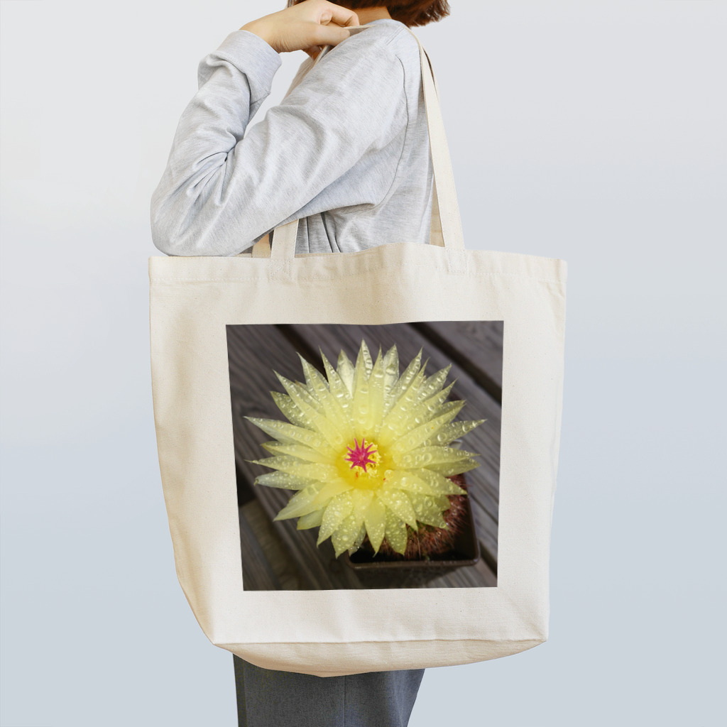 でおきしりぼ子の実験室のサボテンの花 トートバッグ