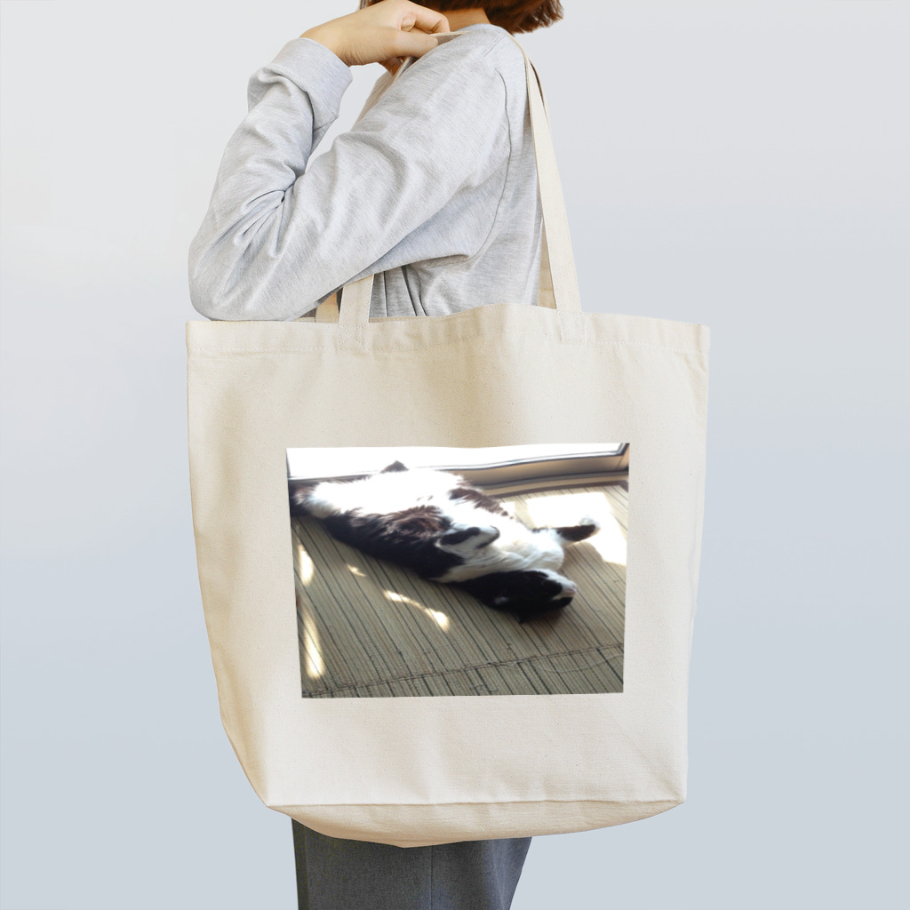 あなたの手の猫の日向ぼっこ Tote Bag