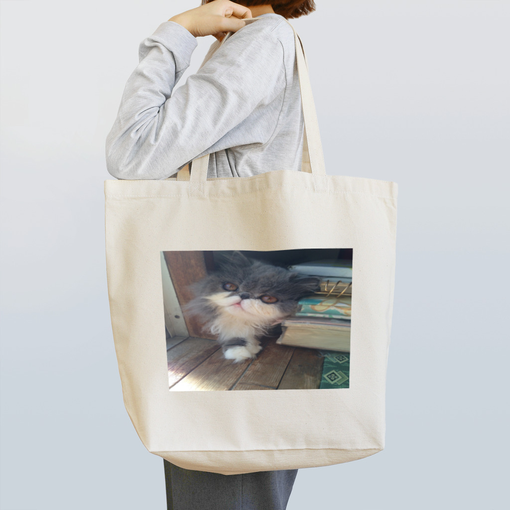 misaののすたるじーねこ Tote Bag