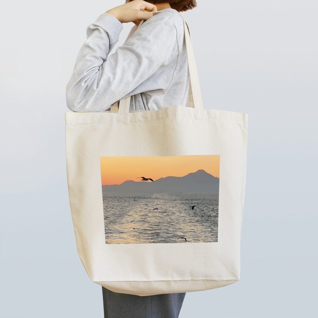 Bp88888888のフライング　シーガル Tote Bag