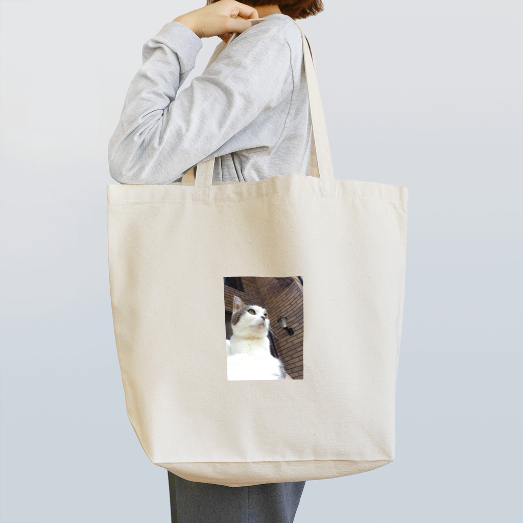 daidouのいつもふてぶてしいうちの愛猫 Tote Bag