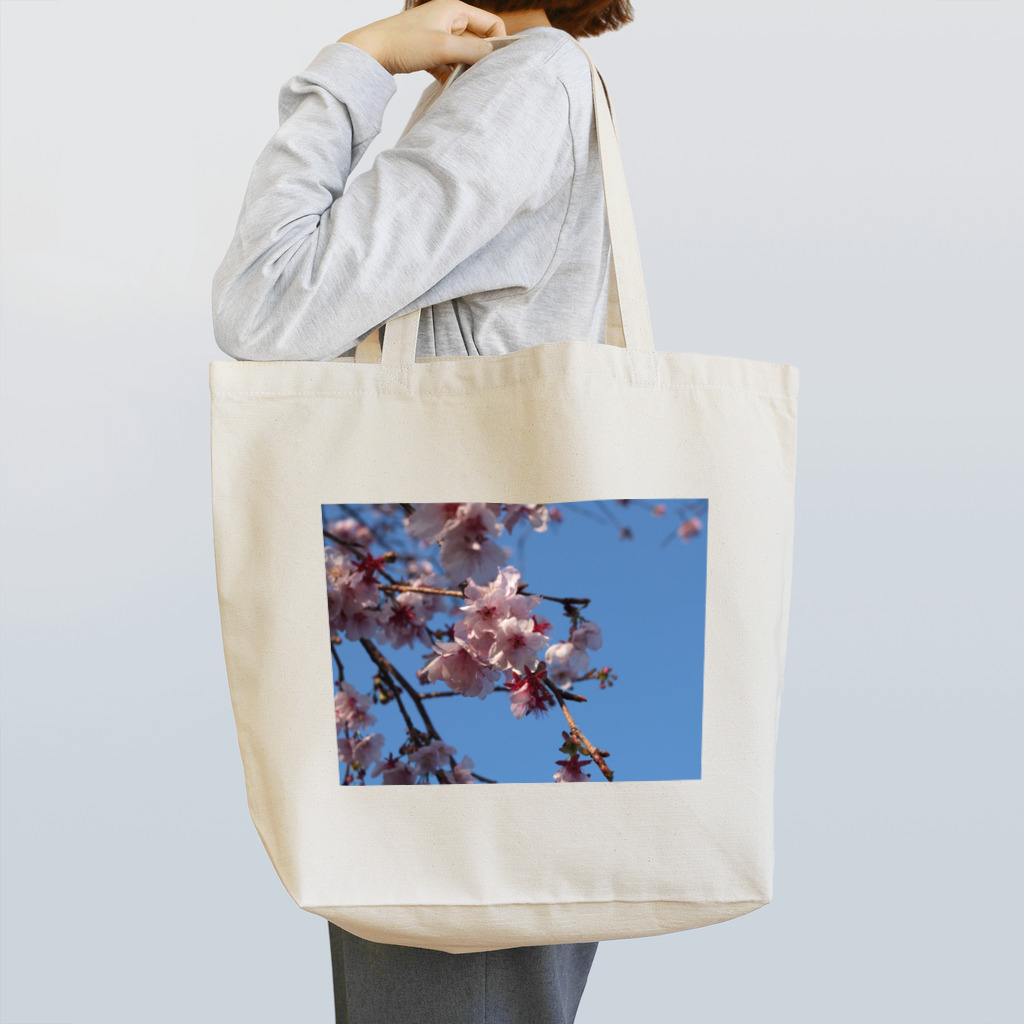 すみれ色のいえのはるのそら Tote Bag